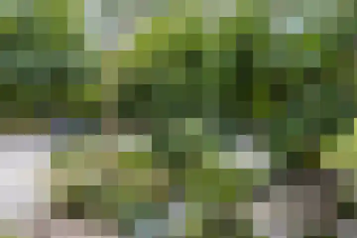 Professor Verbernelaan 55 Tilburg thumbnail 34