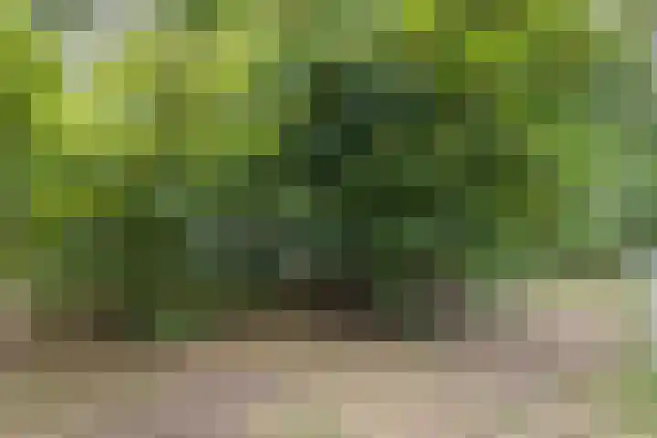 Professor Verbernelaan 55 Tilburg thumbnail 35
