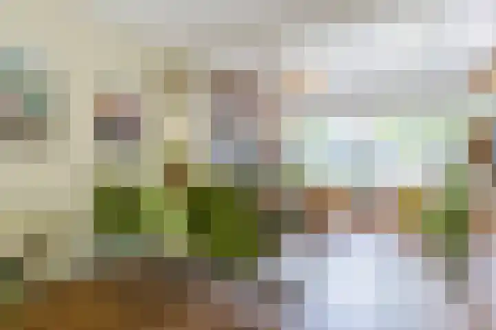 Professor Verbernelaan 55 Tilburg thumbnail 4
