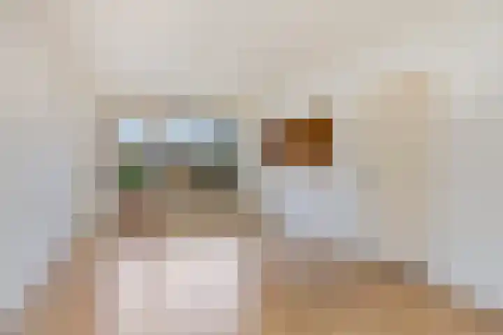 Professor Verbernelaan 63 Tilburg thumbnail 10