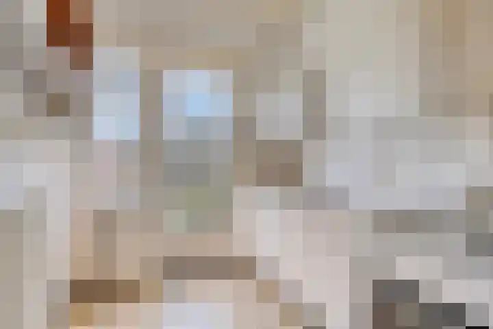 Professor Verbernelaan 63 Tilburg thumbnail 13