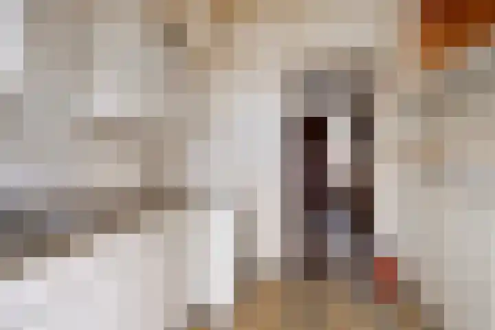 Professor Verbernelaan 63 Tilburg thumbnail 14