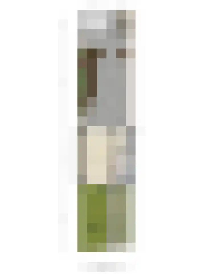 Professor Verbernelaan 63 Tilburg thumbnail 35
