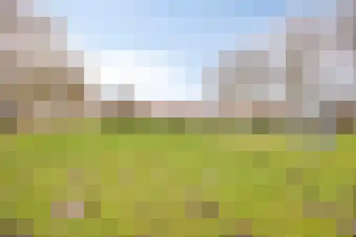 Professor Verbernelaan 63 Tilburg thumbnail 36