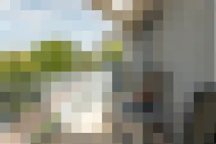 Professor Vitringastraat 32 Franeker thumbnail 13