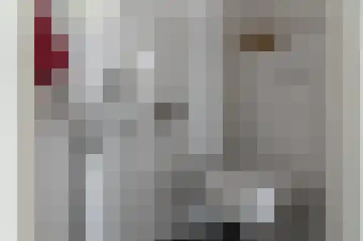 Professor Vitringastraat 32 Franeker thumbnail 23