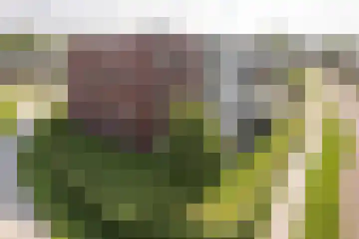 Professor Vitringastraat 32 Franeker thumbnail 31