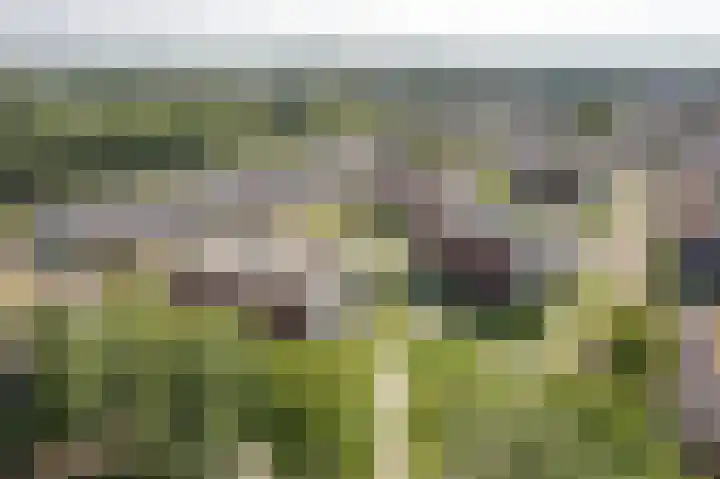 Professor Vitringastraat 32 Franeker thumbnail 32