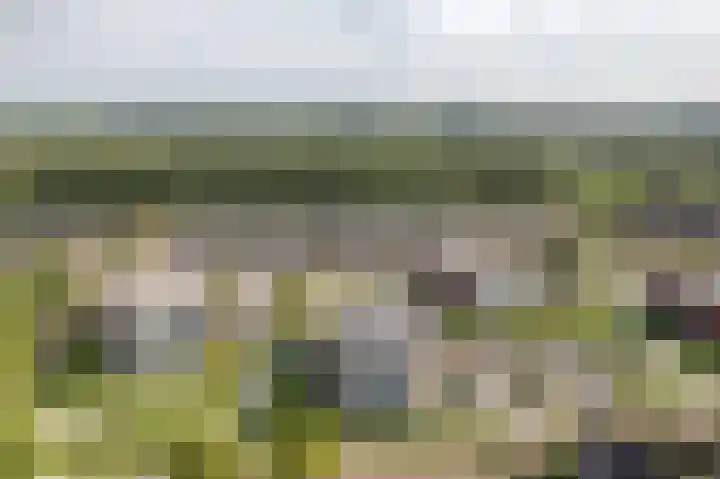 Professor Vitringastraat 32 Franeker thumbnail 33
