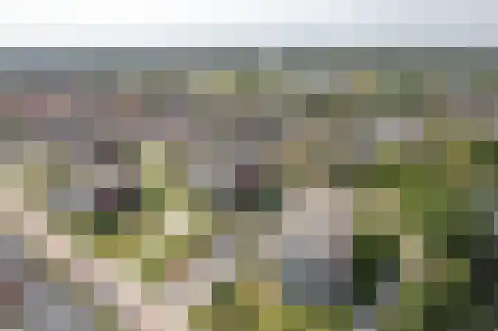 Professor Vitringastraat 32 Franeker thumbnail 34