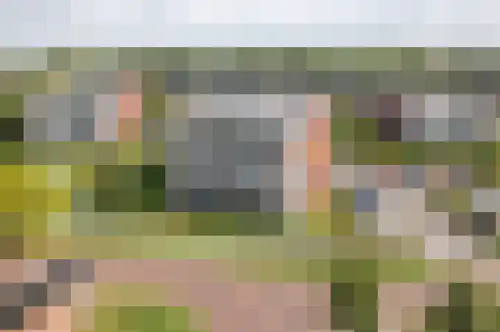 Professor Vitringastraat 32 Franeker thumbnail 36