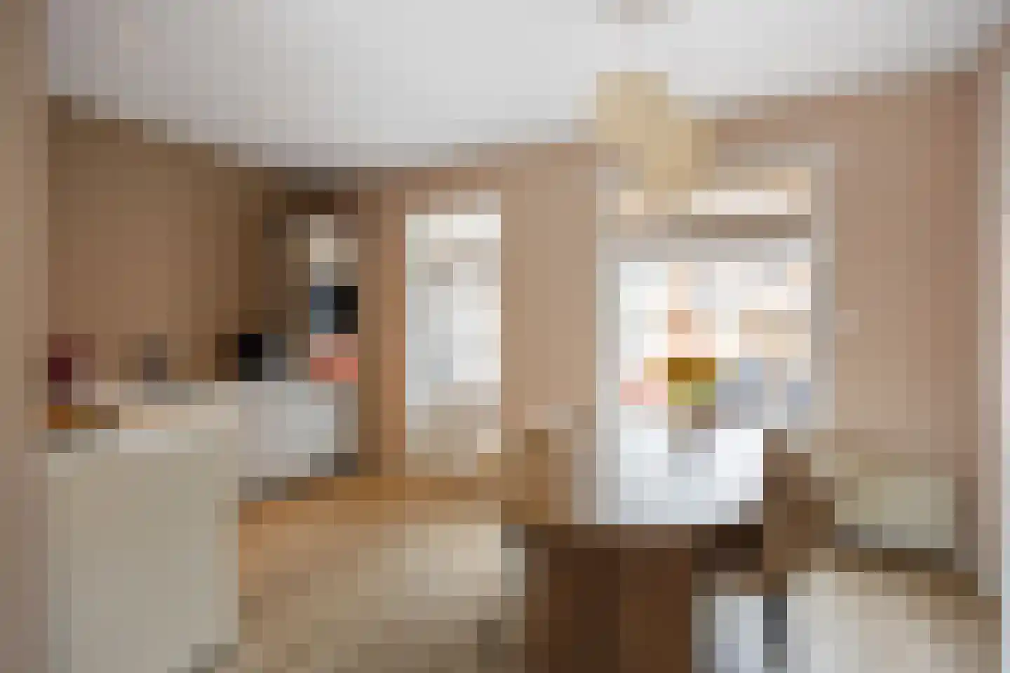 Professor Wassenberghstraat 3 Franeker thumbnail 17