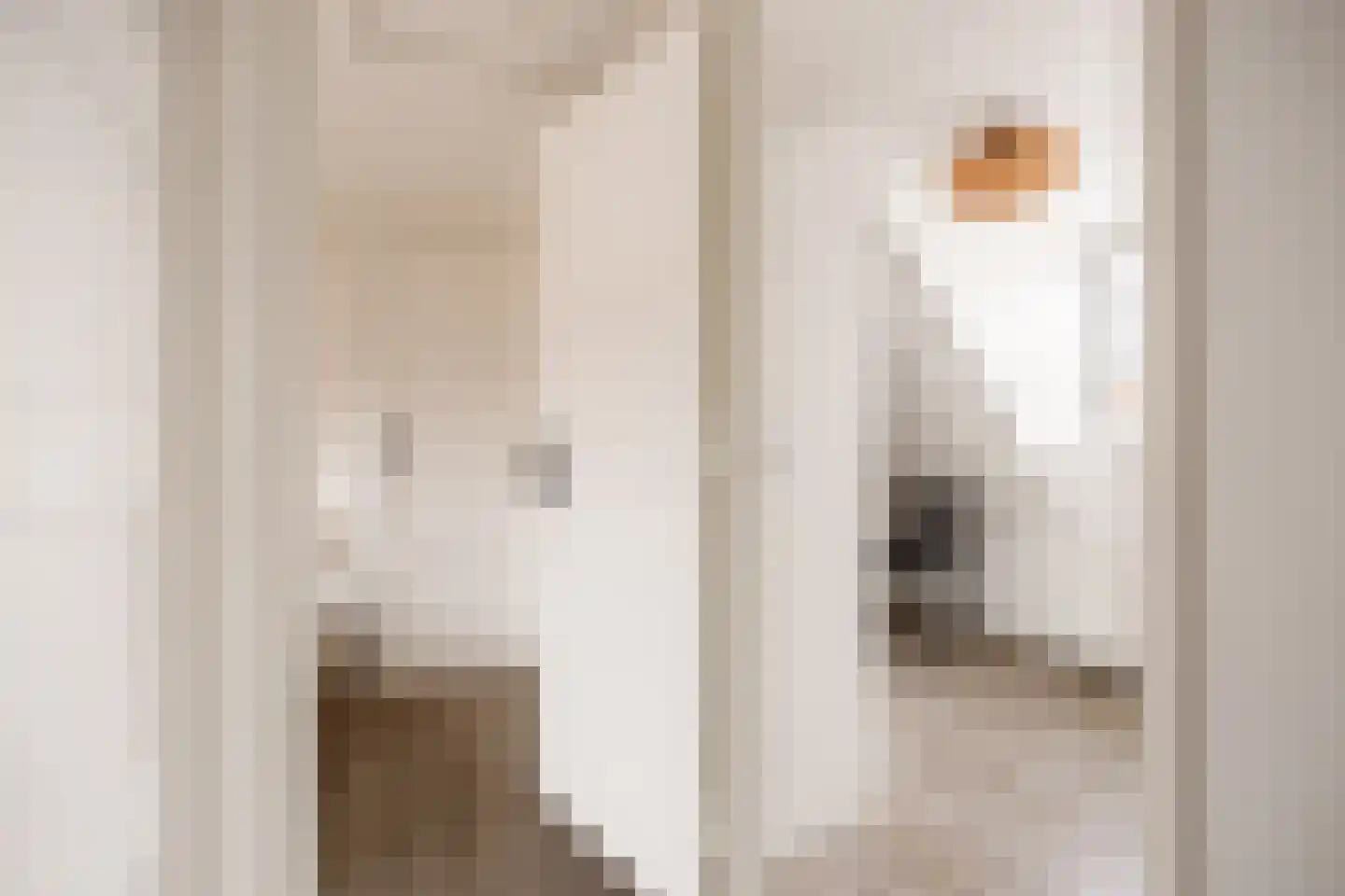 Professor Wassenberghstraat 3 Franeker thumbnail 31