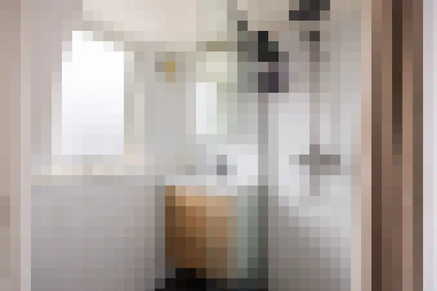 Professor Wassenberghstraat 3 Franeker thumbnail 34