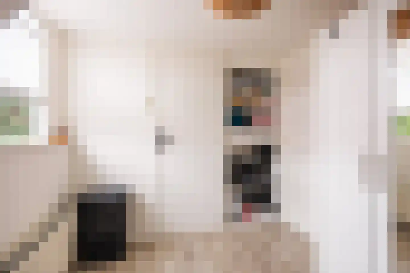 Professor Wassenberghstraat 3 Franeker thumbnail 37