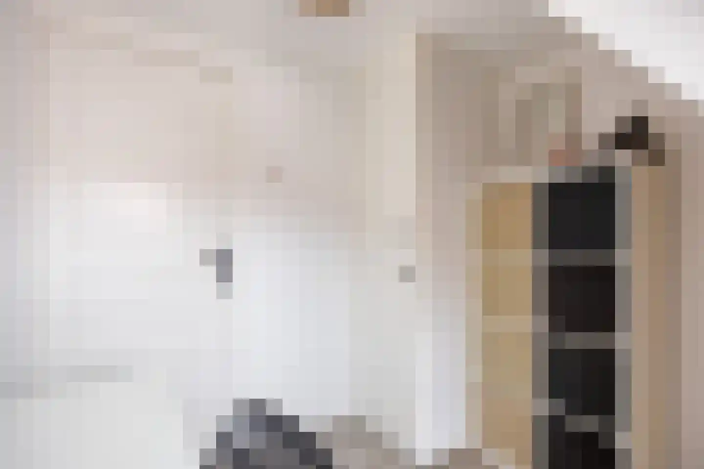 Professor Wassenberghstraat 3 Franeker thumbnail 39