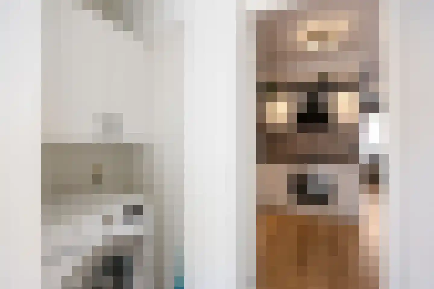 Professor Wassenberghstraat 4 Franeker thumbnail 31
