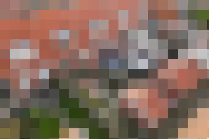 Professor Wassenberghstraat 9 Franeker thumbnail 25