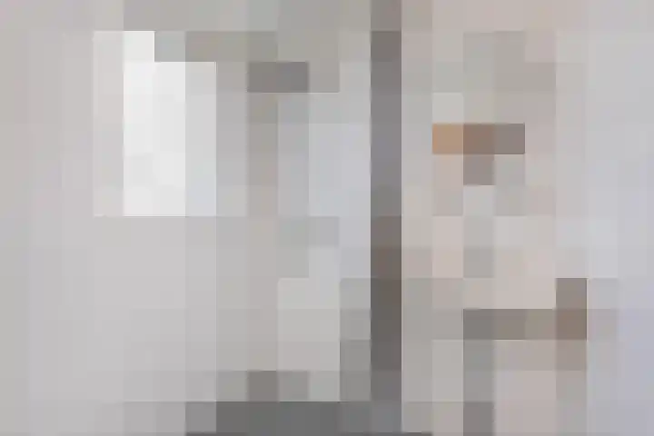 Professor Wassenberghstraat 9 Franeker thumbnail 31