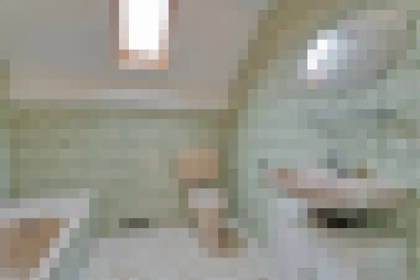 Professor Waterinkstraat 14 Mariënberg thumbnail 31