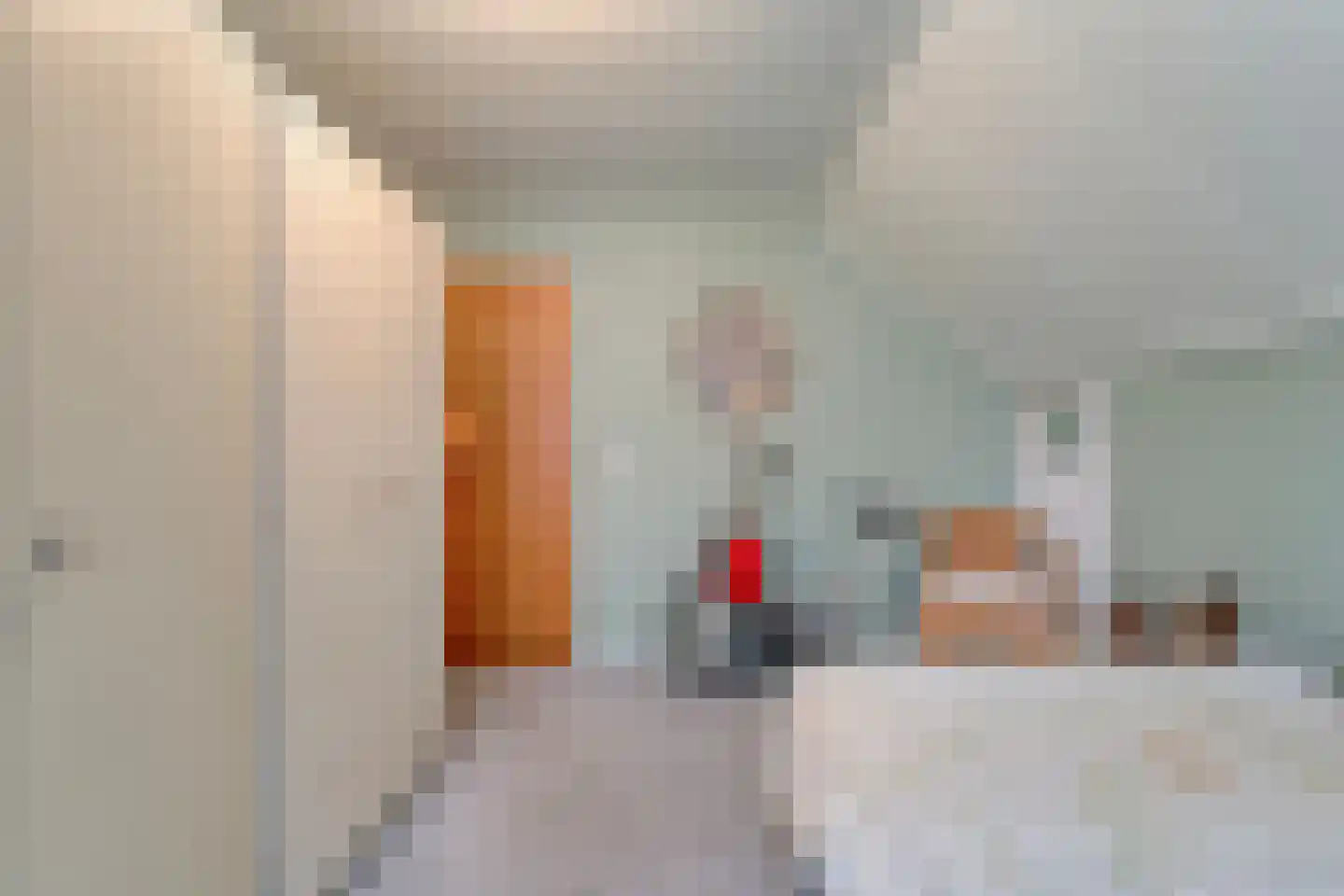 Professor Waterinkstraat 14 Mariënberg thumbnail 34