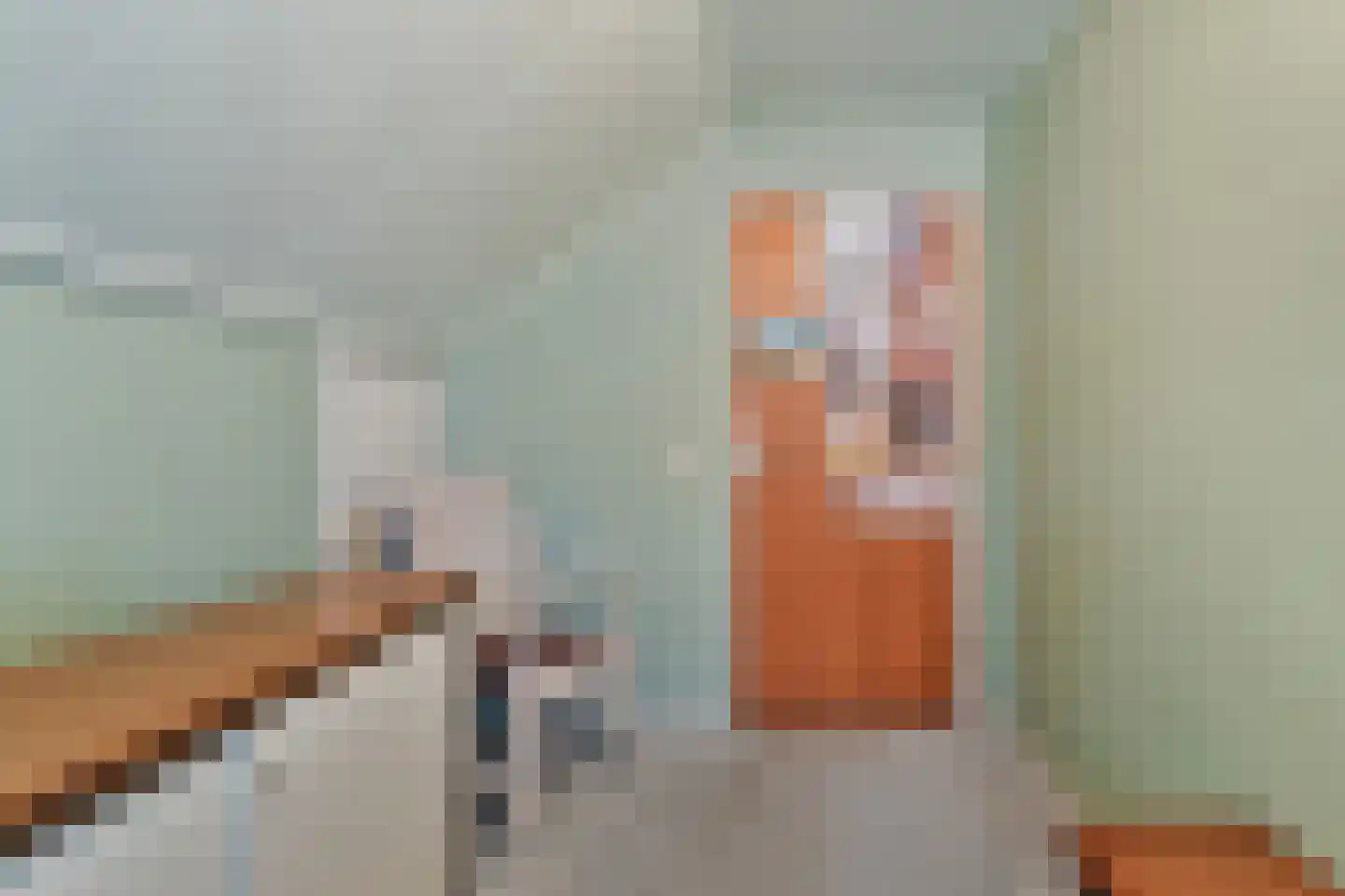 Professor Waterinkstraat 14 Mariënberg thumbnail 37