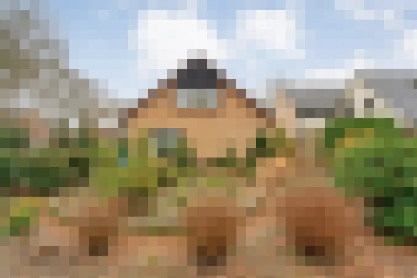 Professor Waterinkstraat 14 Mariënberg thumbnail 6
