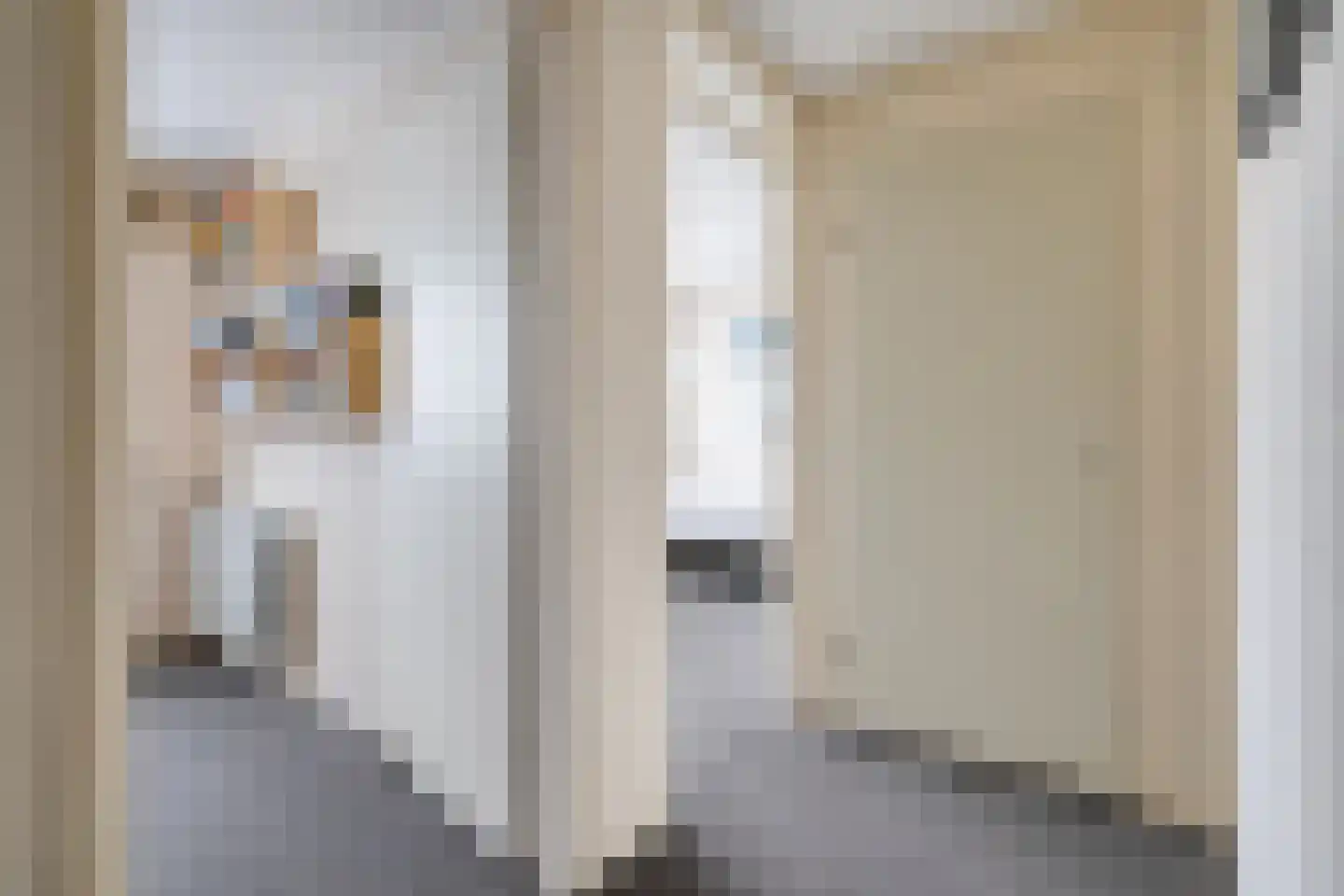 Professor Waterinkstraat 4 Mariënberg thumbnail 17