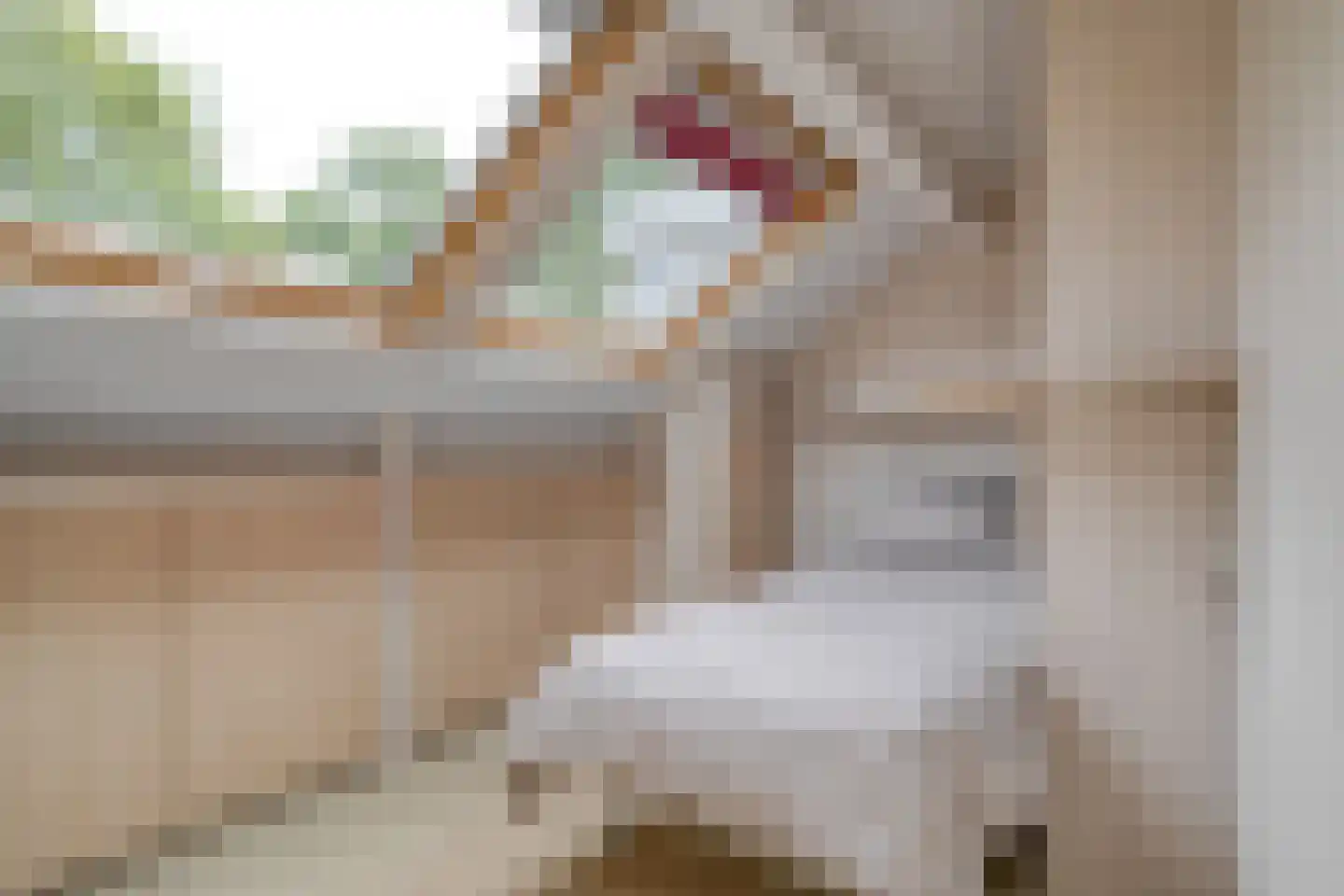 Professor Waterinkstraat 4 Mariënberg thumbnail 33