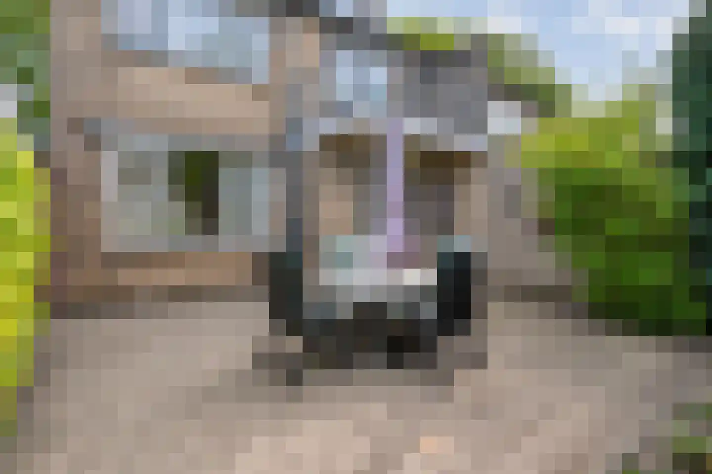 Professor Waterinkstraat 4 Mariënberg thumbnail 35