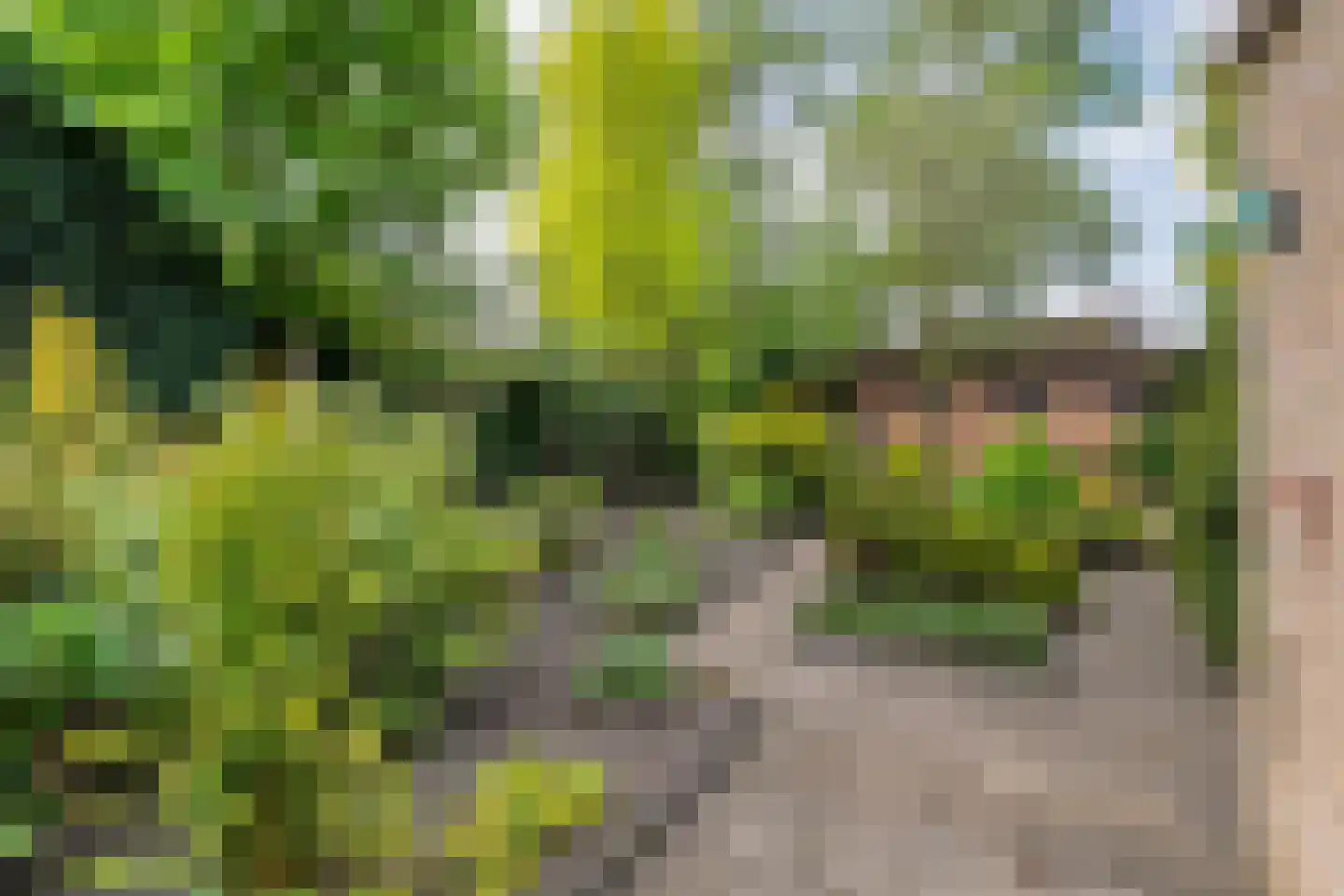 Professor Waterinkstraat 4 Mariënberg thumbnail 36