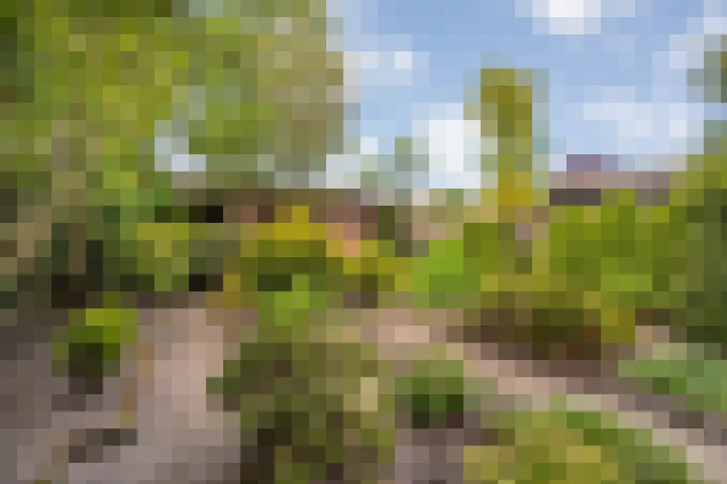 Professor Waterinkstraat 4 Mariënberg thumbnail 37