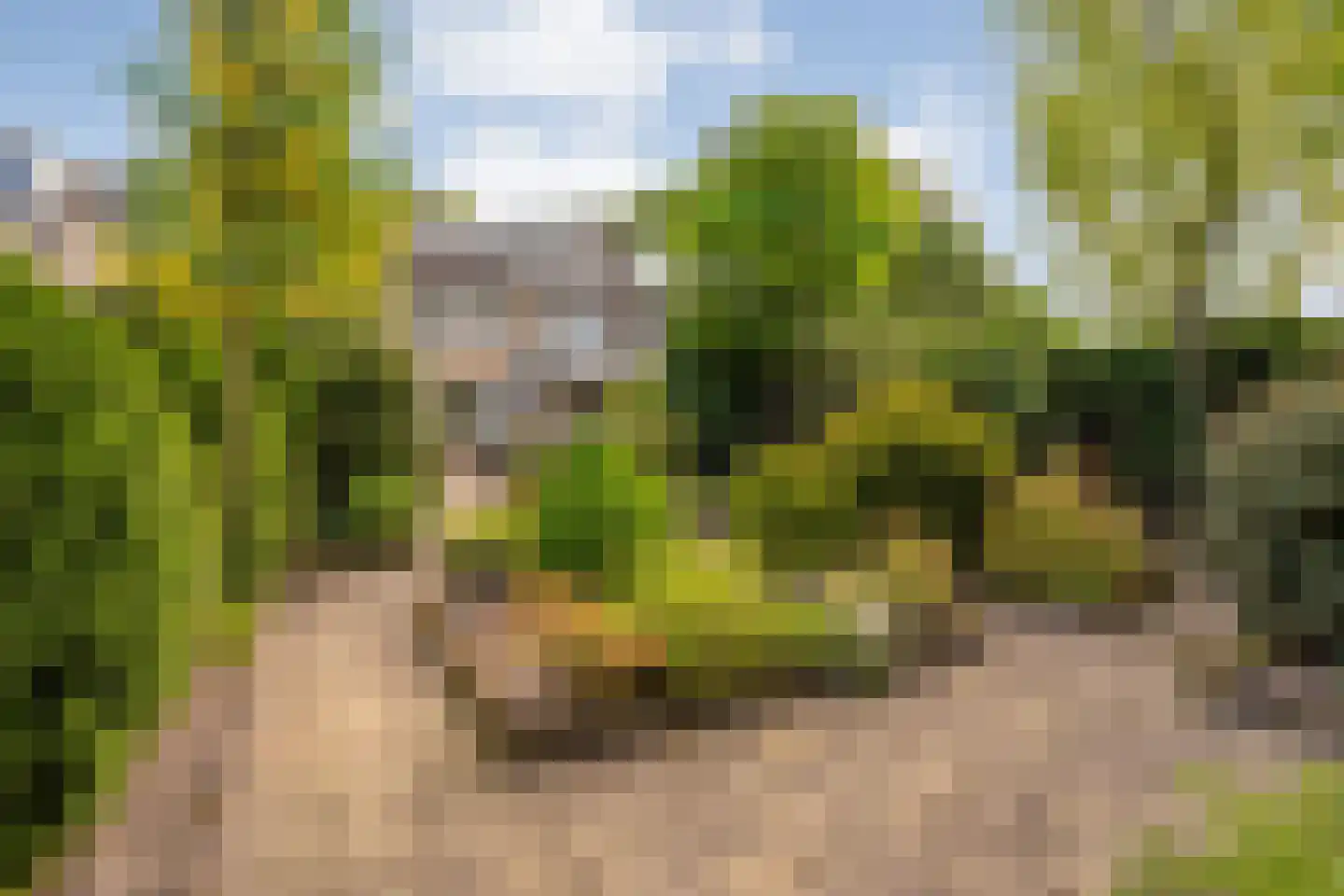 Professor Waterinkstraat 4 Mariënberg thumbnail 39