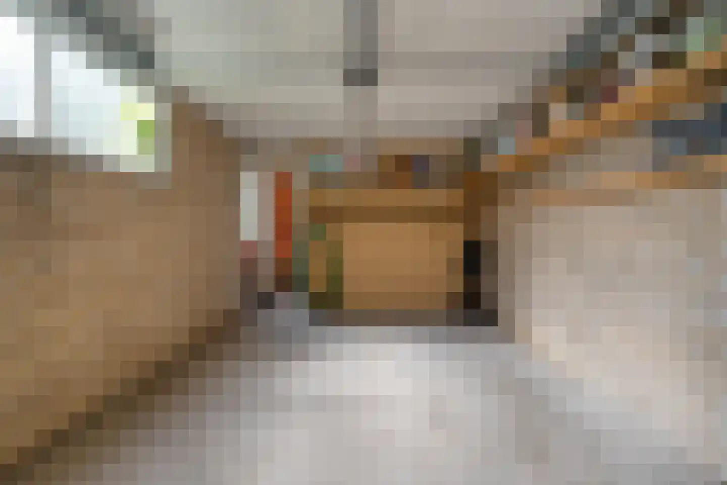 Professor Waterinkstraat 4 Mariënberg thumbnail 43