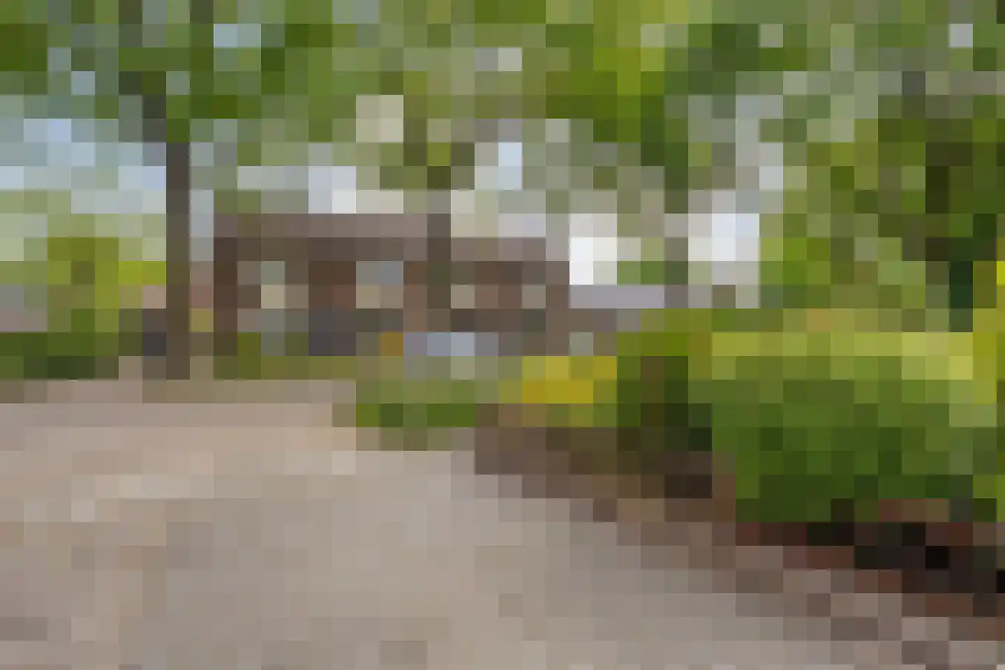 Professor Waterinkstraat 4 Mariënberg thumbnail 48