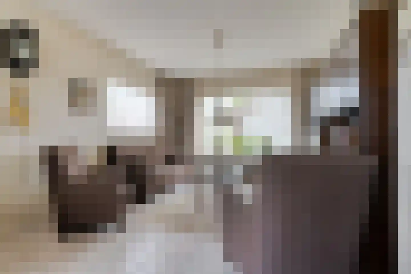 Professor Waterinkstraat 4 Mariënberg thumbnail 7