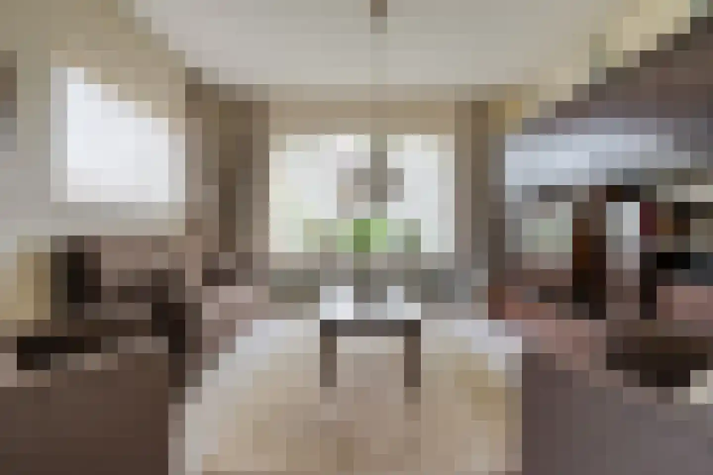 Professor Waterinkstraat 4 Mariënberg thumbnail 8