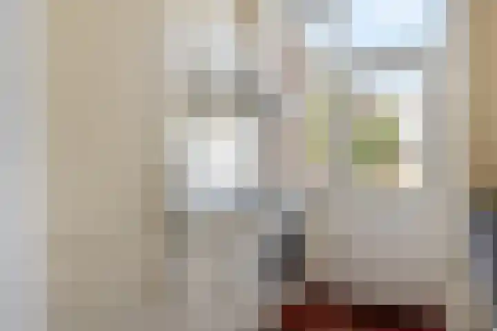 Professor Zeemanplantsoen 11 Voorschoten thumbnail 10