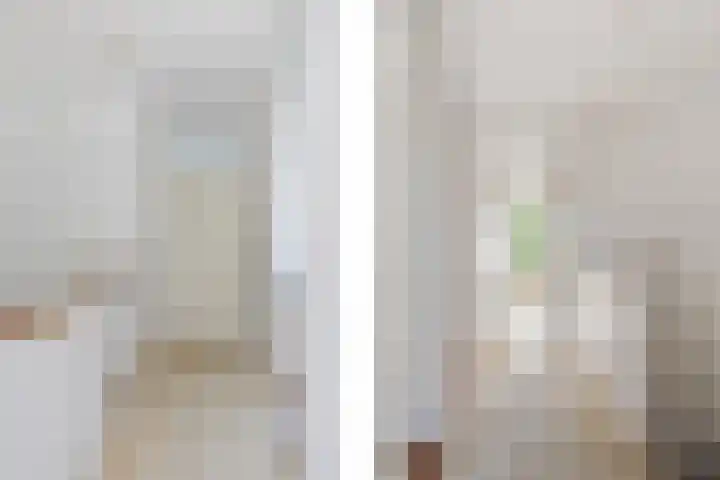 Professor Zeemanplantsoen 11 Voorschoten thumbnail 12