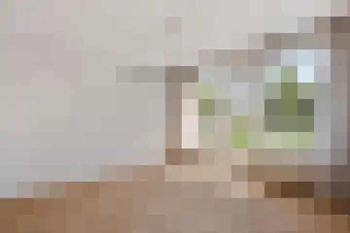 Professor Zeemanplantsoen 11 Voorschoten thumbnail 13