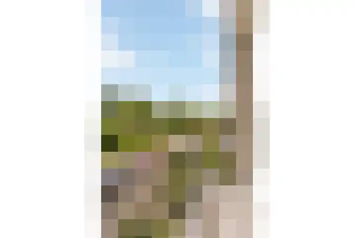 Professor Zeemanplantsoen 11 Voorschoten thumbnail 14