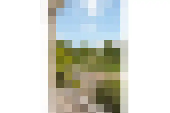 Professor Zeemanplantsoen 11 Voorschoten thumbnail 15