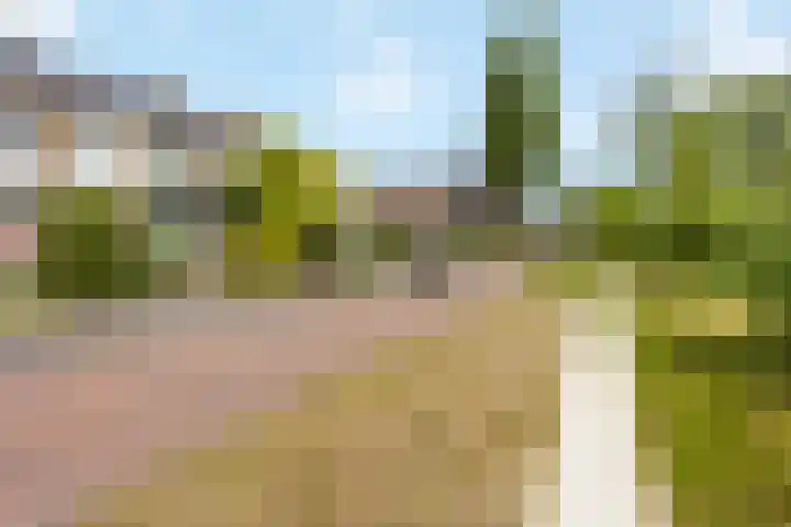 Professor Zeemanplantsoen 11 Voorschoten thumbnail 24