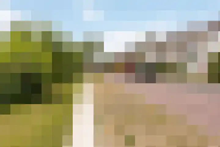 Professor Zeemanplantsoen 11 Voorschoten thumbnail 25
