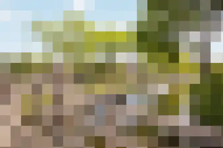Professor Zeemanplantsoen 11 Voorschoten thumbnail 27