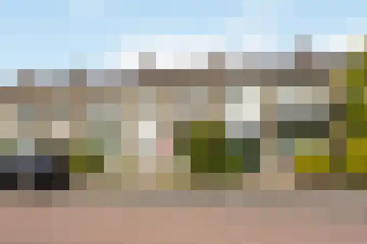 Professor Zeemanplantsoen 11 Voorschoten thumbnail 34