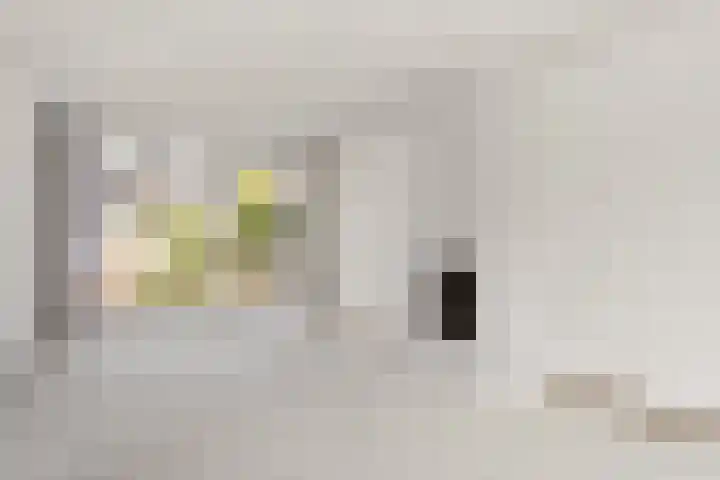 Professor Zeemanplantsoen 11 Voorschoten thumbnail 5