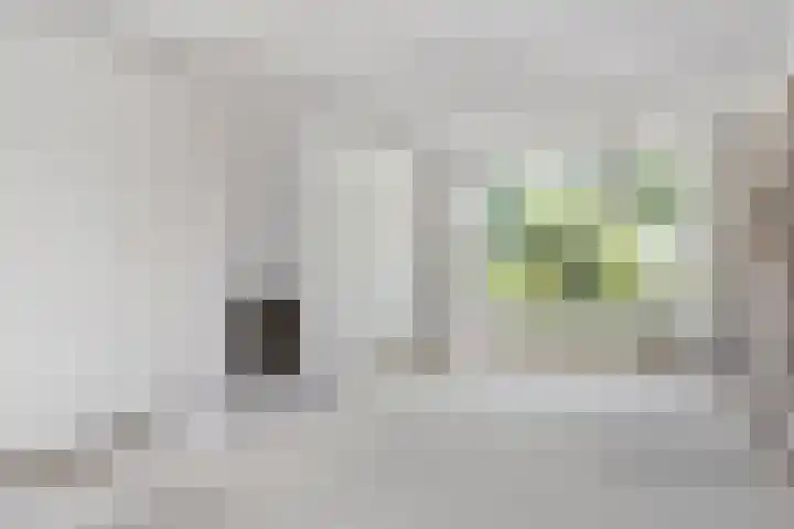 Professor Zeemanplantsoen 11 Voorschoten thumbnail 6