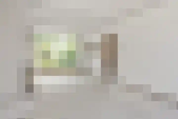 Professor Zeemanplantsoen 11 Voorschoten thumbnail 7