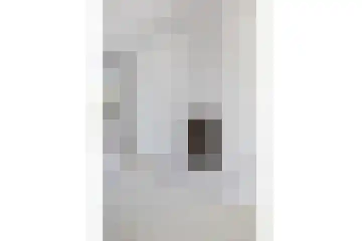 Professor Zeemanplantsoen 11 Voorschoten thumbnail 8